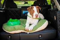 Nissan y Purina Dog Chow se unen para regalar el único  SUV equipado para familias con mascotas, Nissan X-Trail
