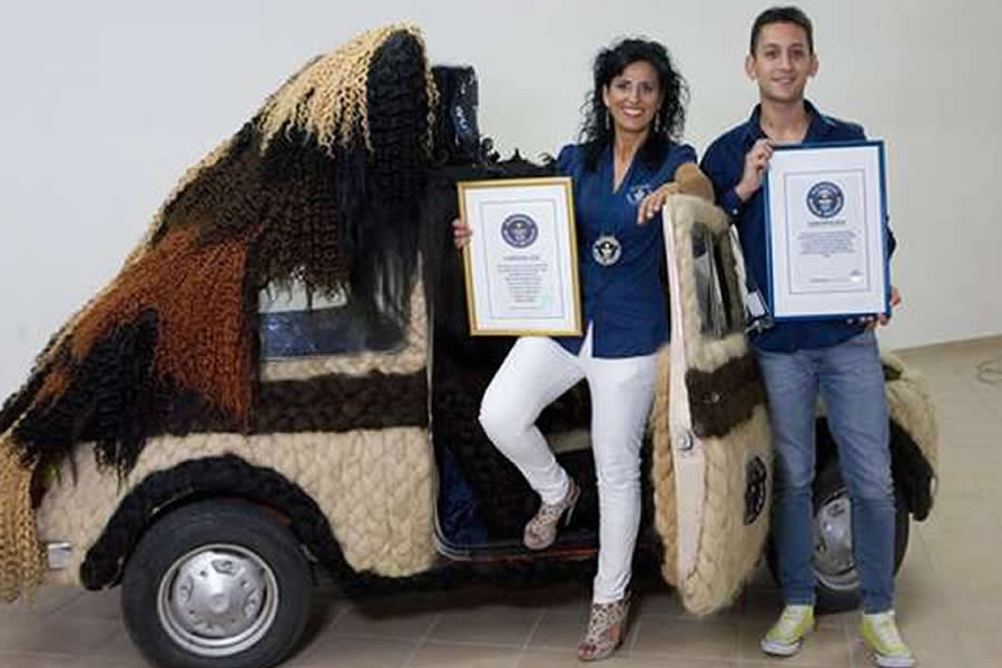 Hay un Fiat 500 cubierto con pelos