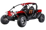 LLEGA EDICION ESPECIAL&nbsp;BUGGY BRUGRACER 600i SPR