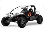 LLEGA EDICION ESPECIAL&nbsp;BUGGY BRUGRACER 600i SPR